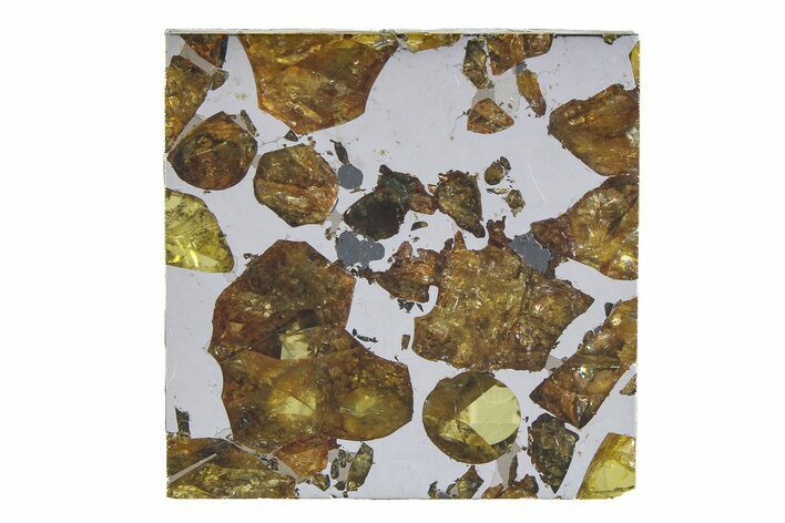 Brahin Pallasite Meteorite ( g) Slice - Belarus #351933